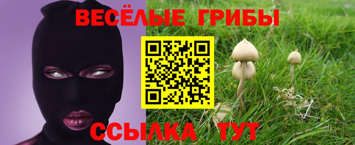 Губкин  Псилоцибиновые грибы Magic Shrooms  Галлюциногенные грибы GOLDEN TEACHER  Вход с VPN 